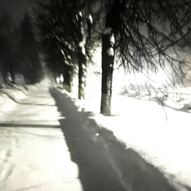 Walk in the cold - Slowed cover art