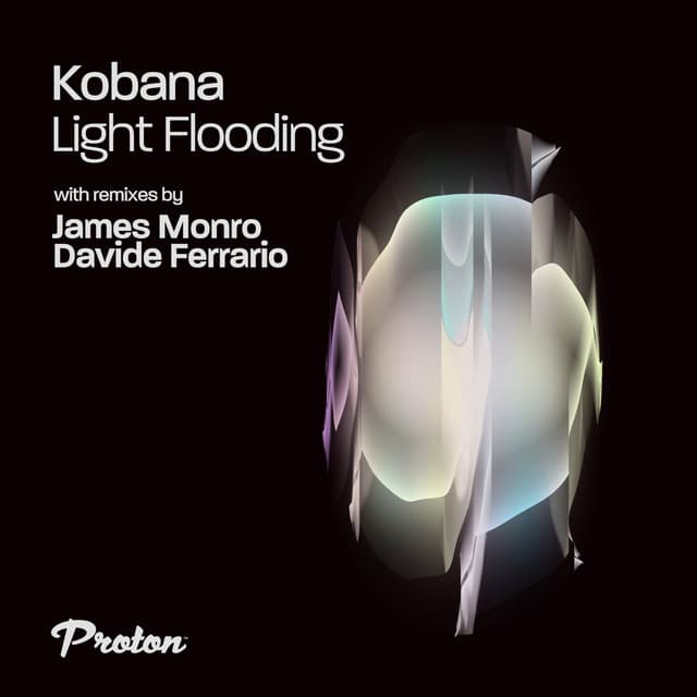 Light Flooding cover art