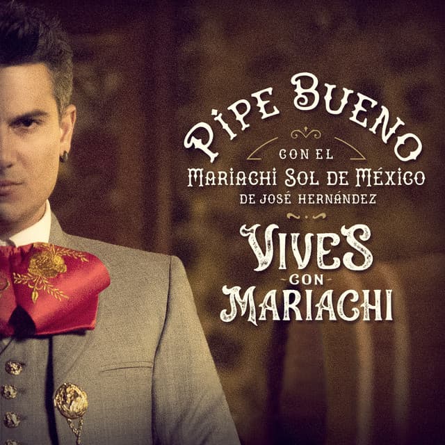Bailar Contigo (feat. Mariachi Sol De Mexico De Jose Hernandez) cover art