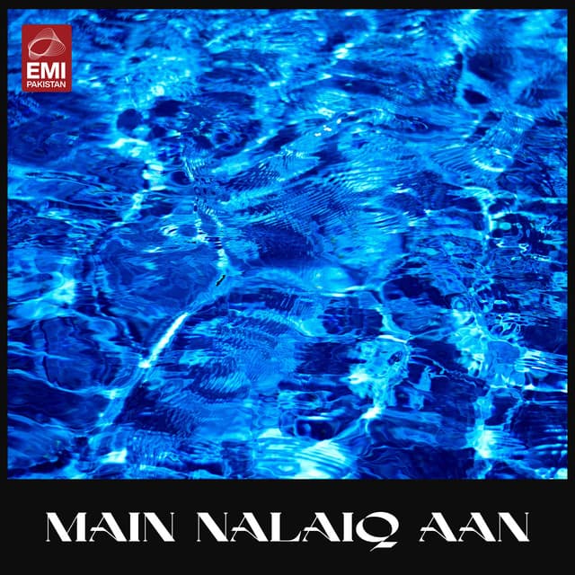Chalo Bhaati Te Lohaari Bhaanwain Daata De Darbaar cover art