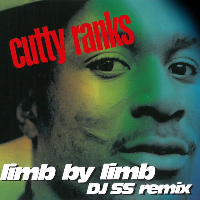 Limb by Limb - DJ SS Remix cover art