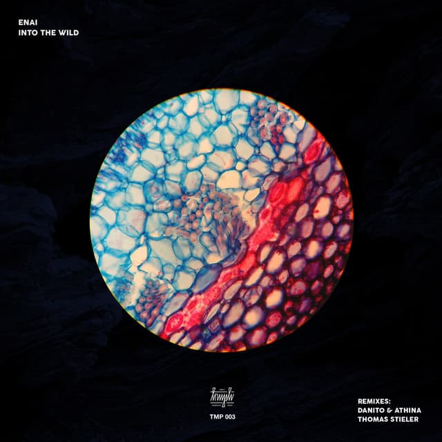 Under the Sea - Thomas Stieler Remix cover art