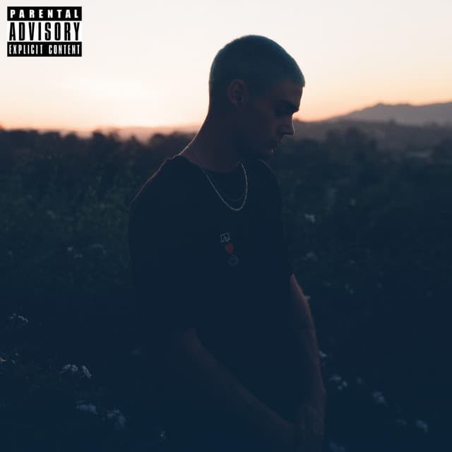 Let the Bullshit Go With the Breeze cover art