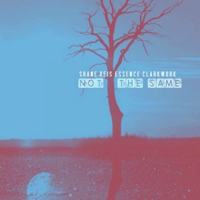 Nuervision cover art