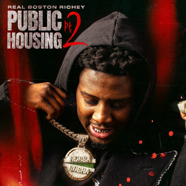 Public Housing, Pt. 2 cover art