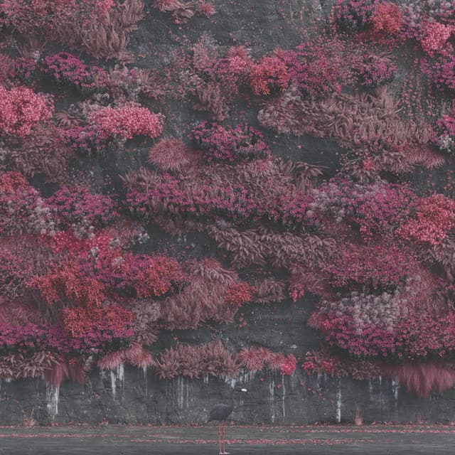 Caramel cover art