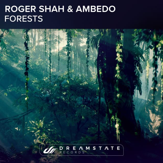 Forests cover art