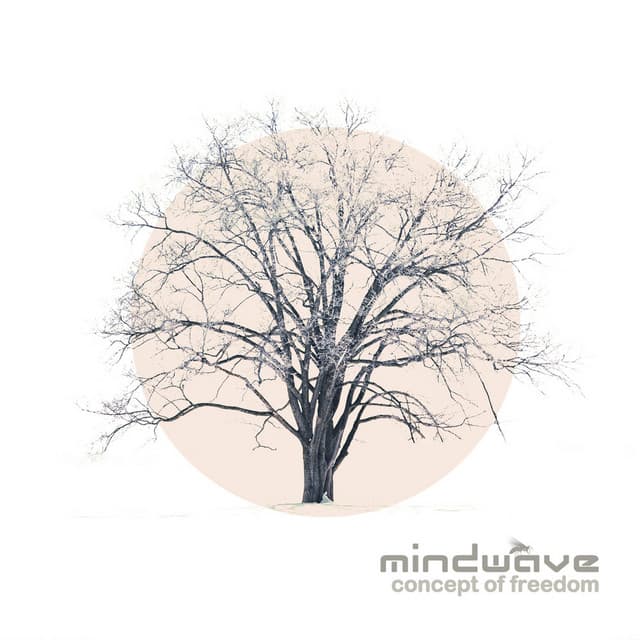 Light of Loss cover art