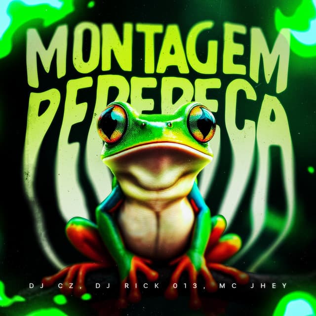MONTAGEM PERERECA cover art