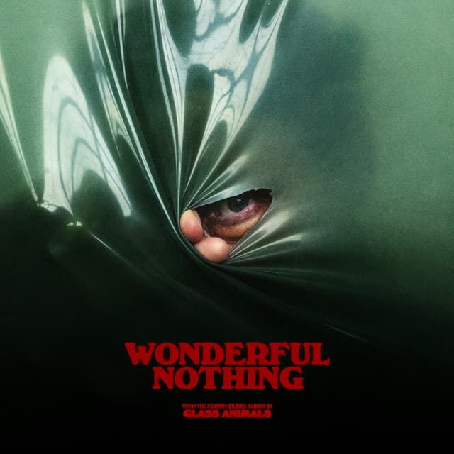 Wonderful Nothing cover art