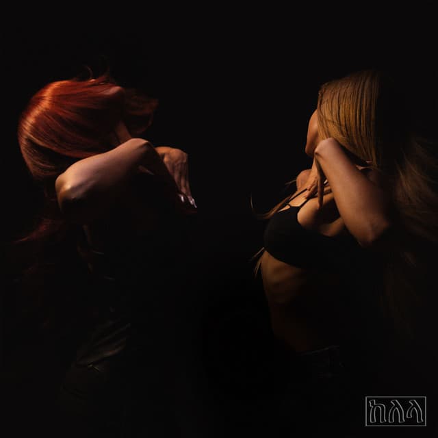 the bridge cover art