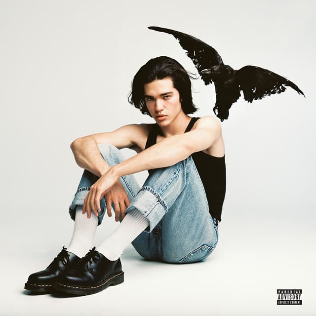 Maniac cover art