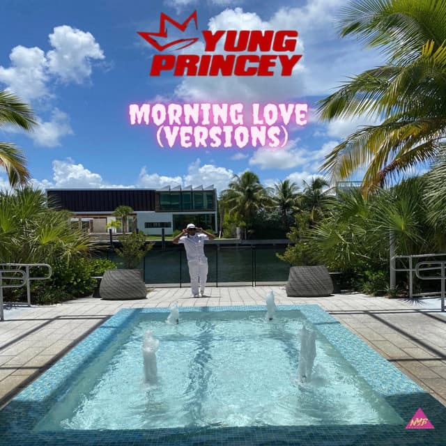 Morning Love - Remix cover art