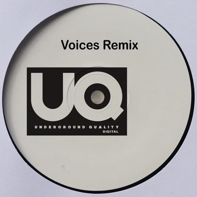 Voices - Levon Vincent Remix cover art