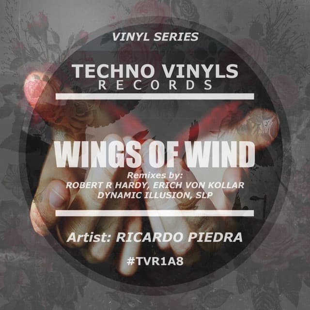 Wings Of Wind - Erich Von Kollar Remix cover art