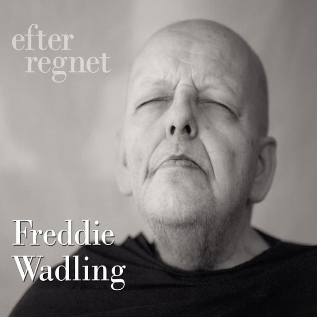 Nu lyfter vi från marken cover art