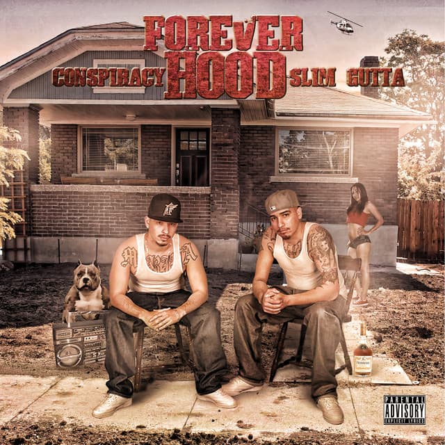Solid in TE Game cover art