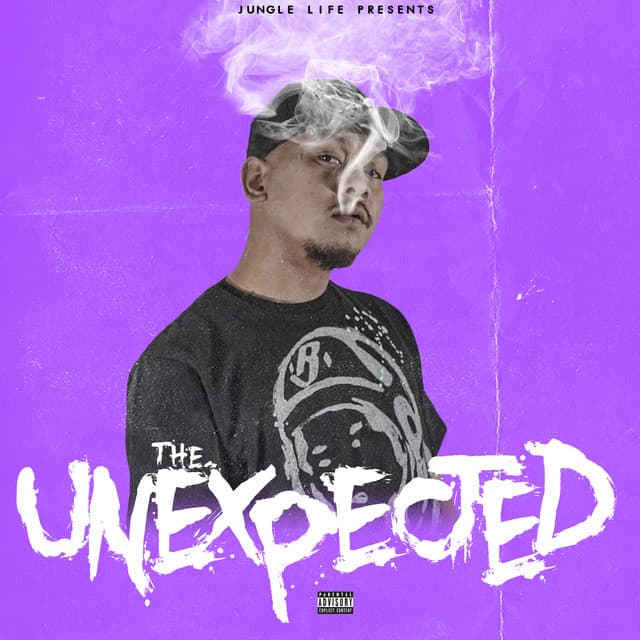 The Unexpected cover art