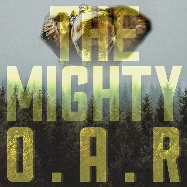 Miss You All The Time cover art