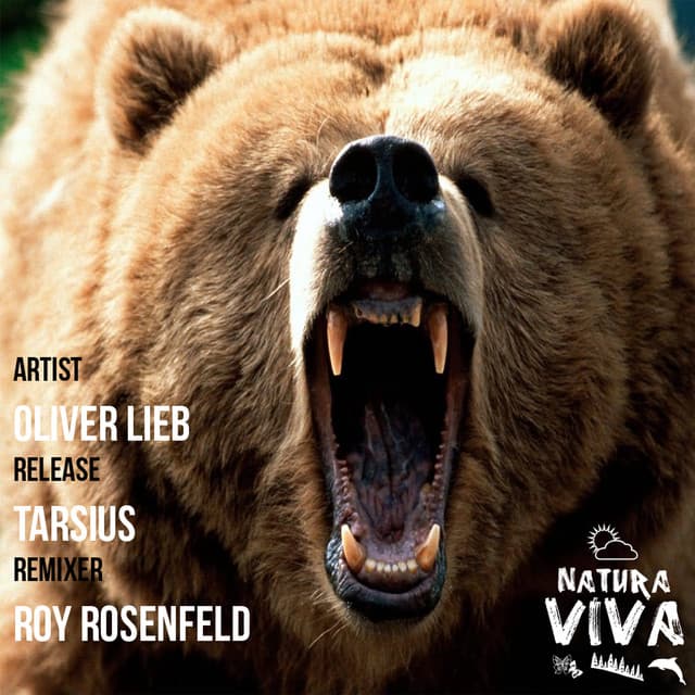 Tarsius - Roy RosenfelD Remix cover art