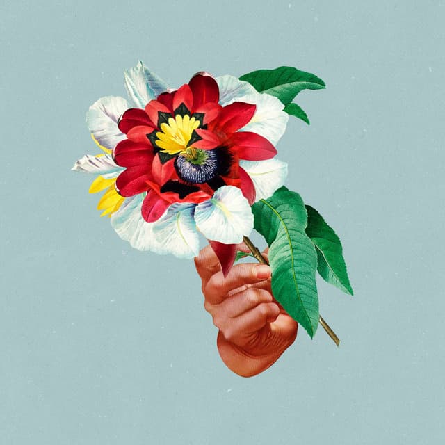Kingdoms In Colour cover art