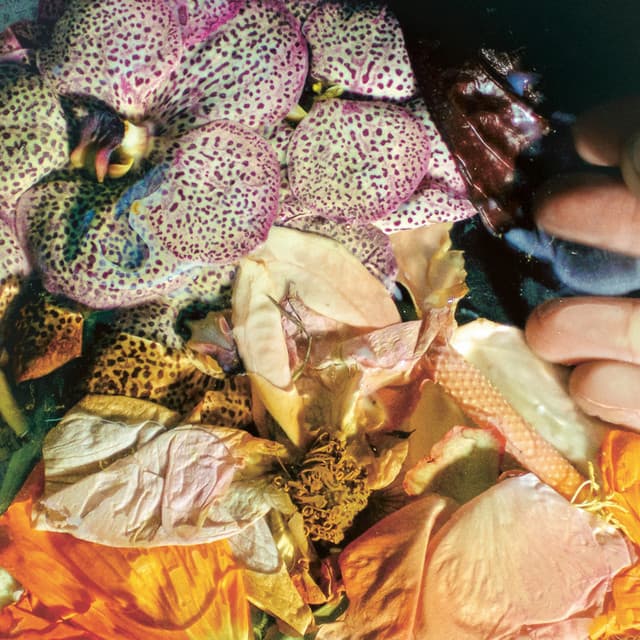 Prologue feat. Module One cover art