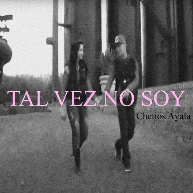 Nunca Te Voy a Olvidar cover art