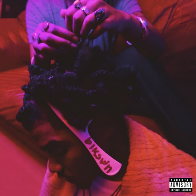 Flea Flicka cover art