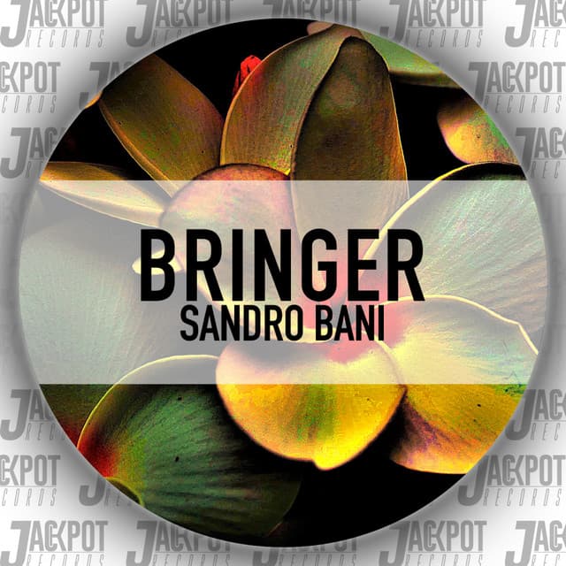 Bringer cover art