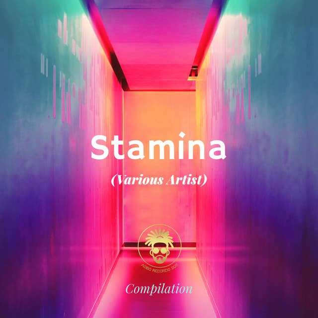 Stamina - Aries ,Stivs & Kelvin 373 Remix cover art
