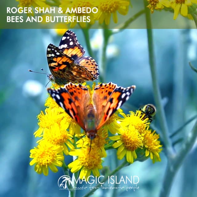 Bees and Butterflies cover art