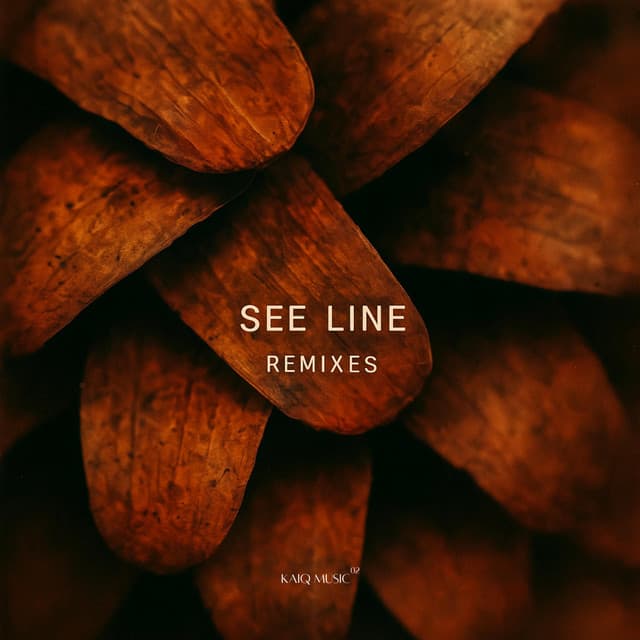 See Line - GruuvElement's Remix cover art