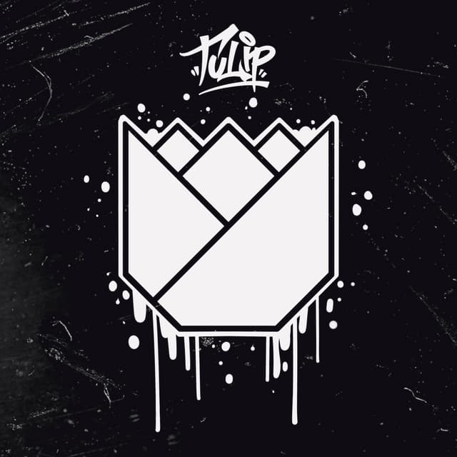 Indestructible cover art