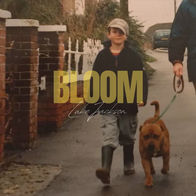 Rubber And Magic cover art