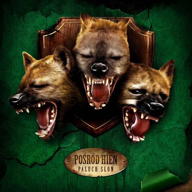 Oczy Na Mnie cover art