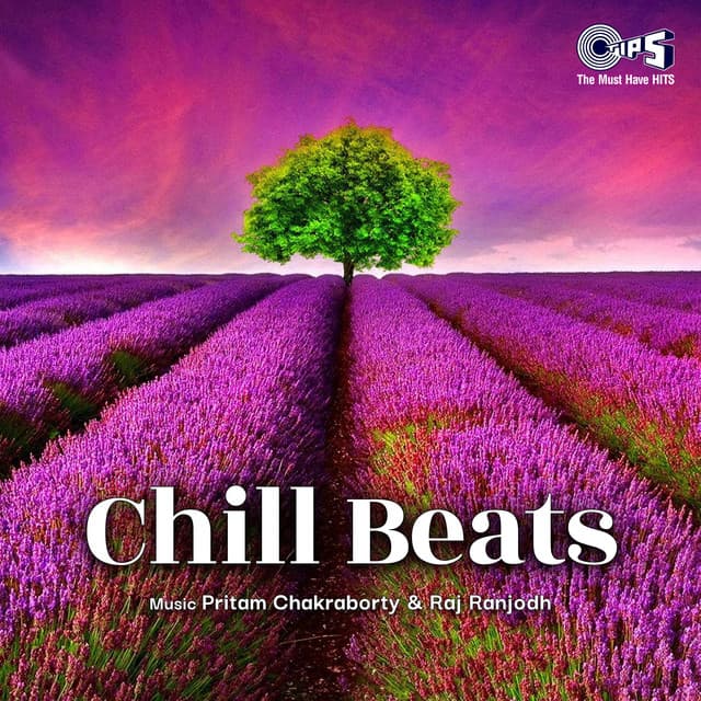 Naina (From "Crew") [Instrumental] cover art