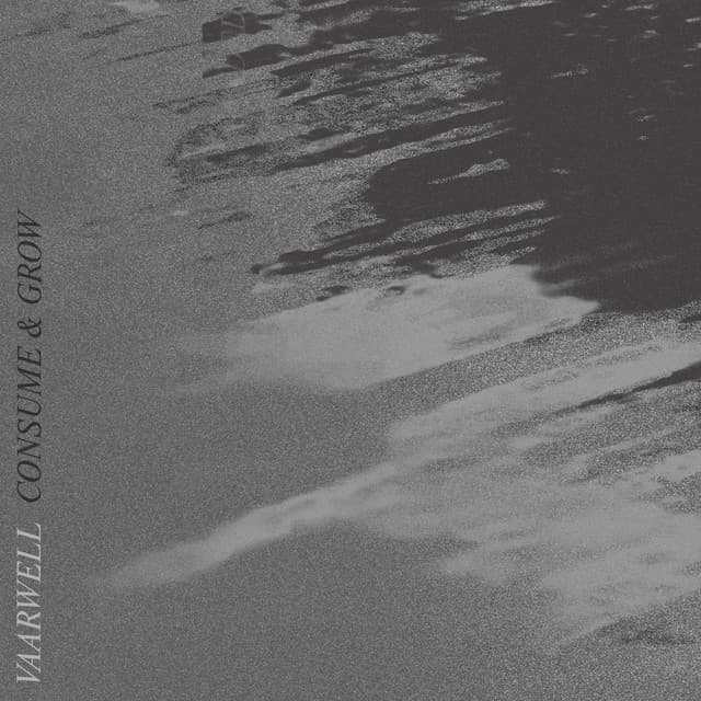 consume - poolsideconvo remix cover art