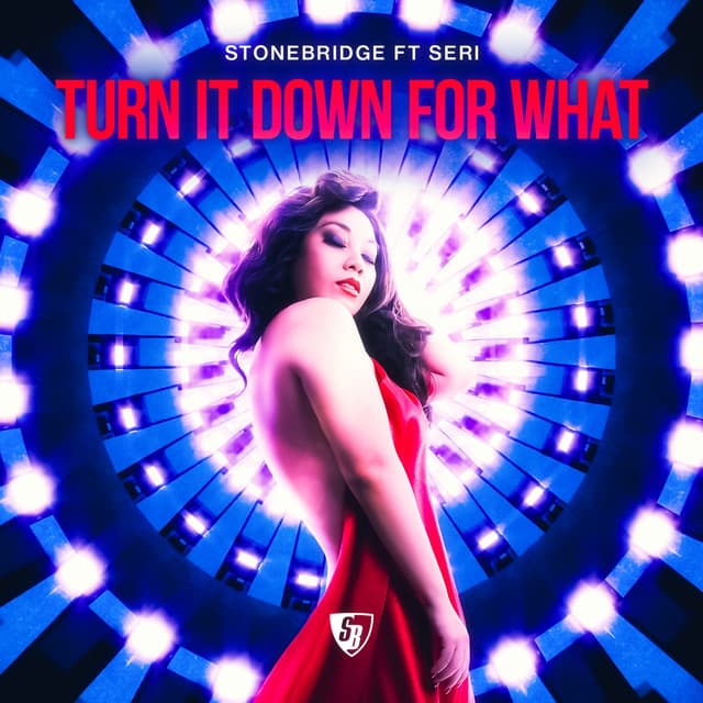 Turn It Down for What - StoneBridge & Damien Hall Ibiza Radio cover art