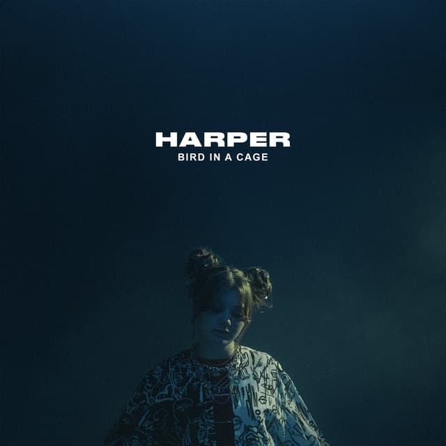 Bird In A Cage cover art