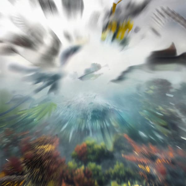 Evolution cover art