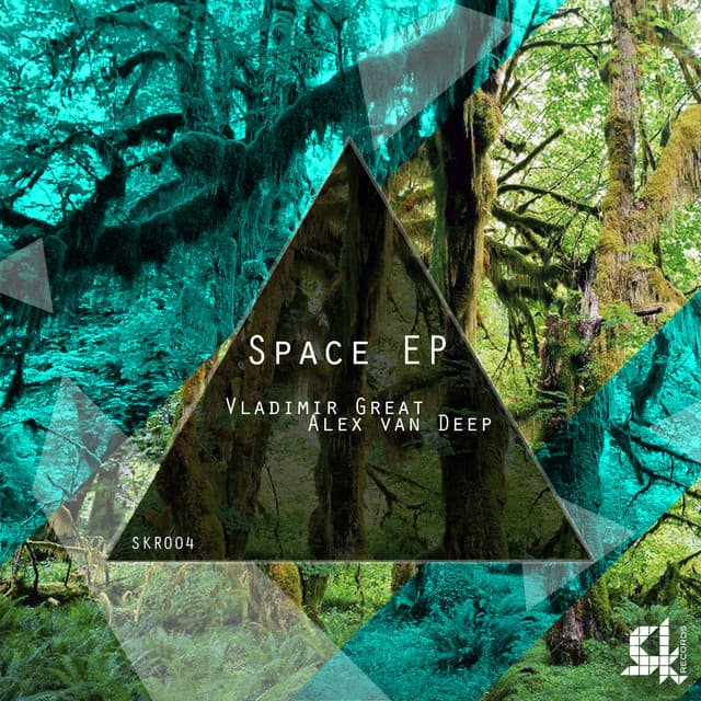 Space - Alex Van Deep Remix cover art