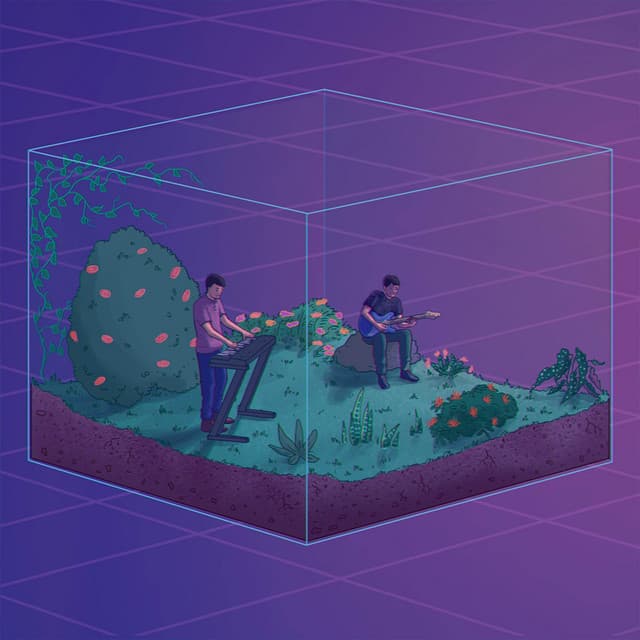 Coral cover art