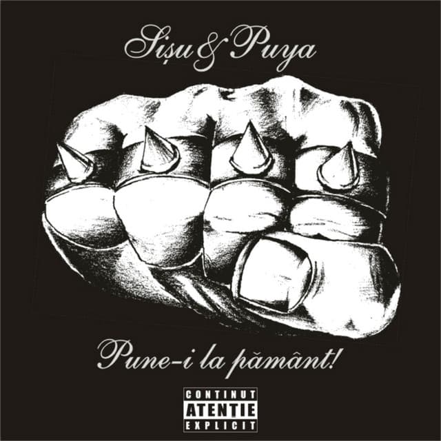 Pune-i La Pamant cover art