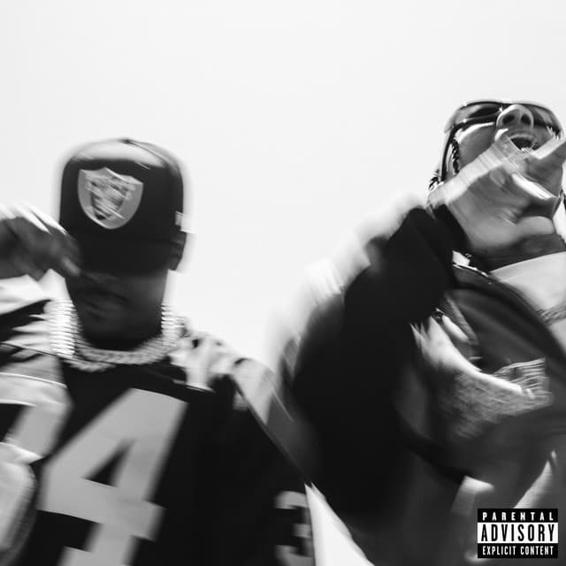 PLATINUM cover art