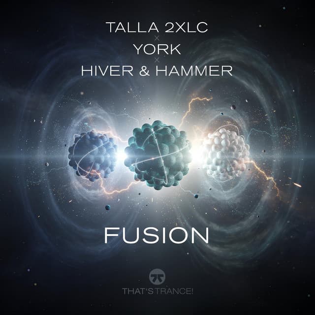 Hiver & Hammer