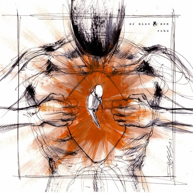 Echo cover art