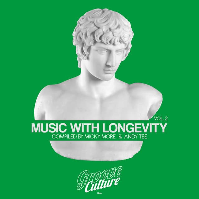 Catch Your Shine - Groove Junkies 2020 Re-Touch cover art