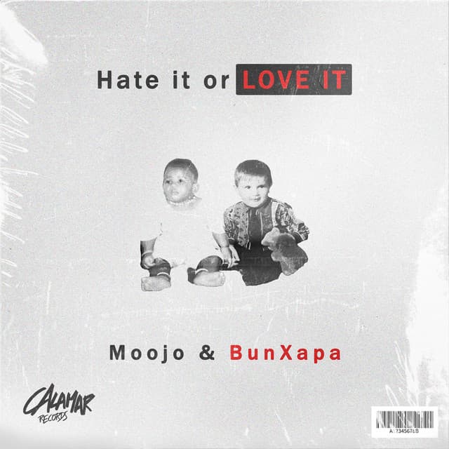 Hate It Or Love It cover art