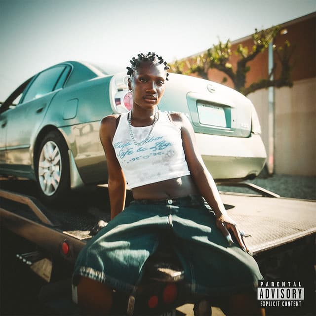 NISSAN ALTIMA cover art