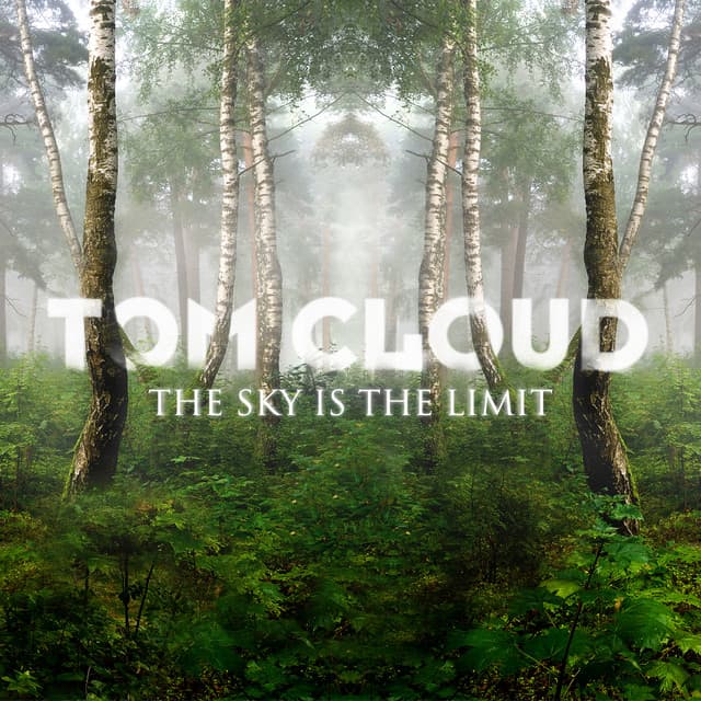 The Sky Is the Limit cover art